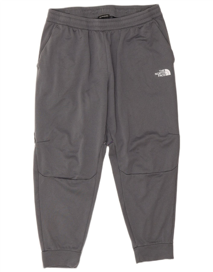 Мужские спортивные брюки The North Face, джоггеры XL, серый полиэстер
