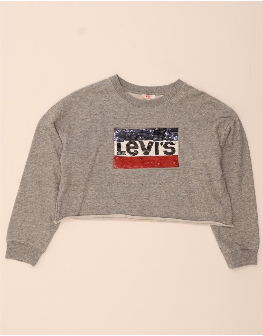 LEVI'S Womens Oversized Graphic Sweatshirt Jumper UK 10 Small Grey Vintage Levi's and Second-Hand Levi's from Messina Hembry 