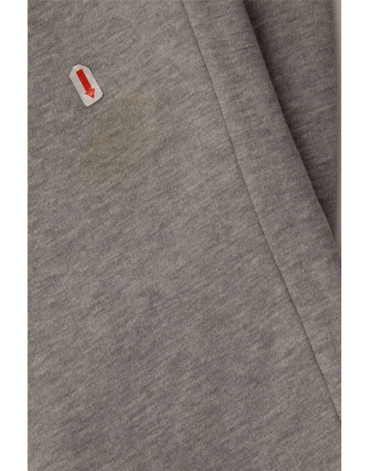 SUPERDRY Мужские спортивные брюки с графическим рисунком, хлопковые средне-серые брюки