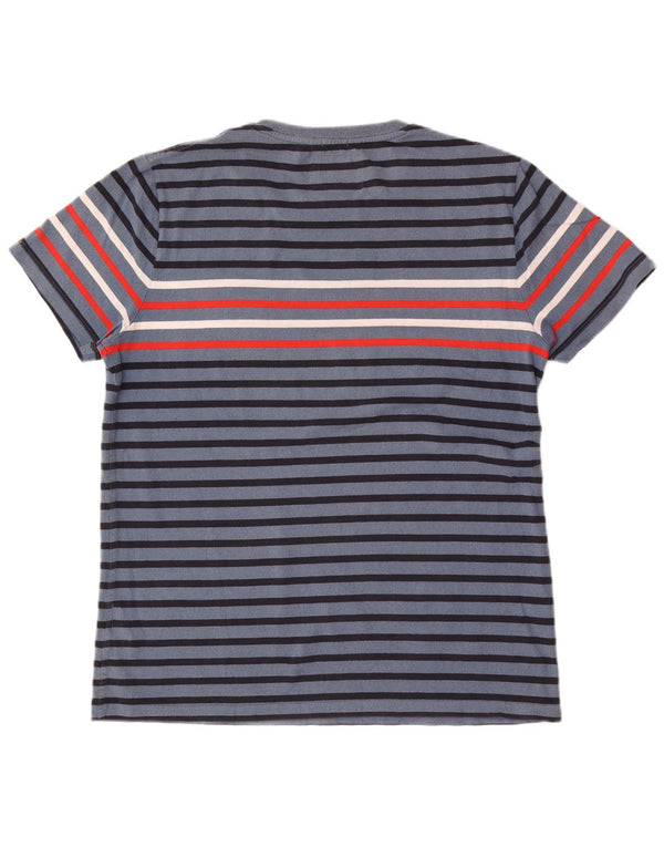 Мужская футболка Superdry Top 2XL из хлопка в синюю полоску