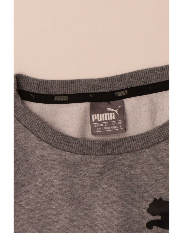 Мужской свитшот с рисунком Puma, маленький серый