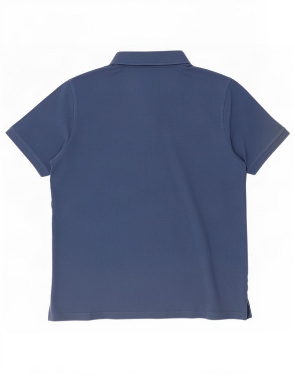 Мужская рубашка-поло стандартного кроя Pierre Cardin 3XL, синяя, хлопок