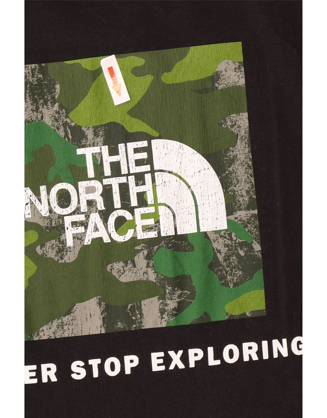Мужская футболка с рисунком The North Face, хлопковый топ среднего размера, черный