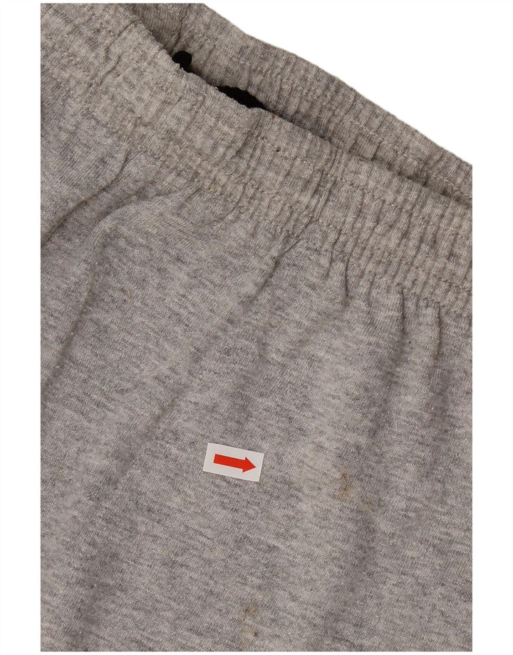 Мужские спортивные шорты Diadora XL, серый хлопок с крапинками