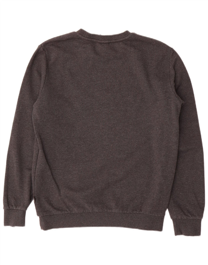 Мужской свитшот Puma, маленький серый хлопковый джемпер