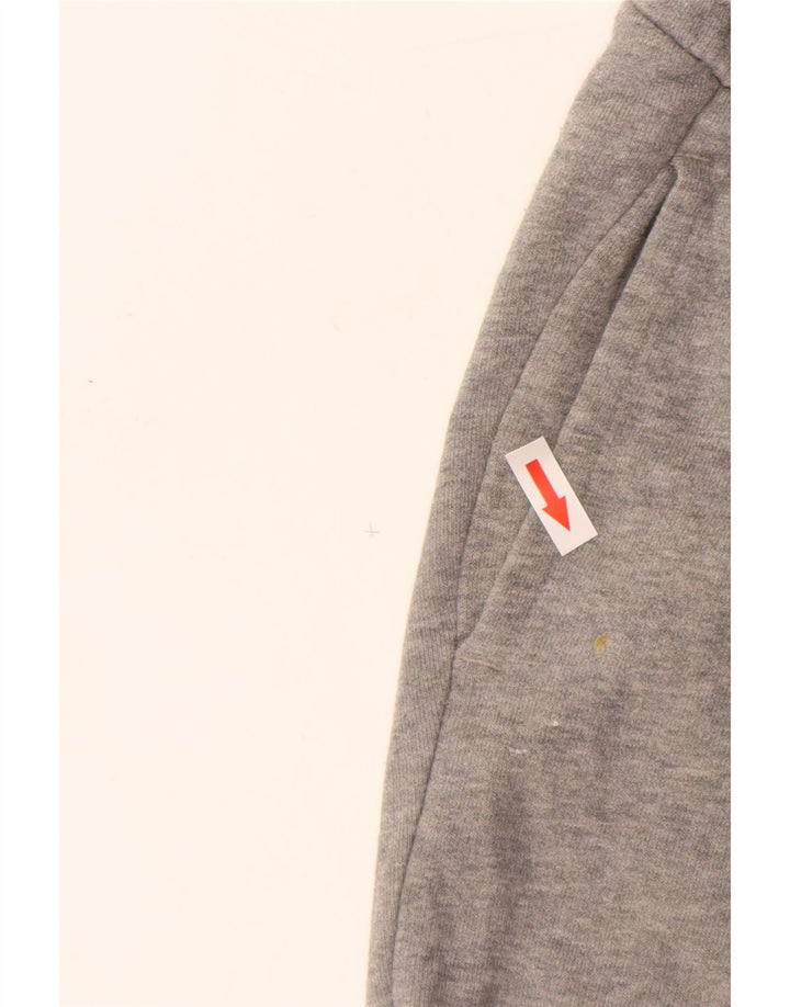 Женские спортивные брюки с графическим рисунком PUMA, джоггеры, Великобритания, 8, маленькие, серые