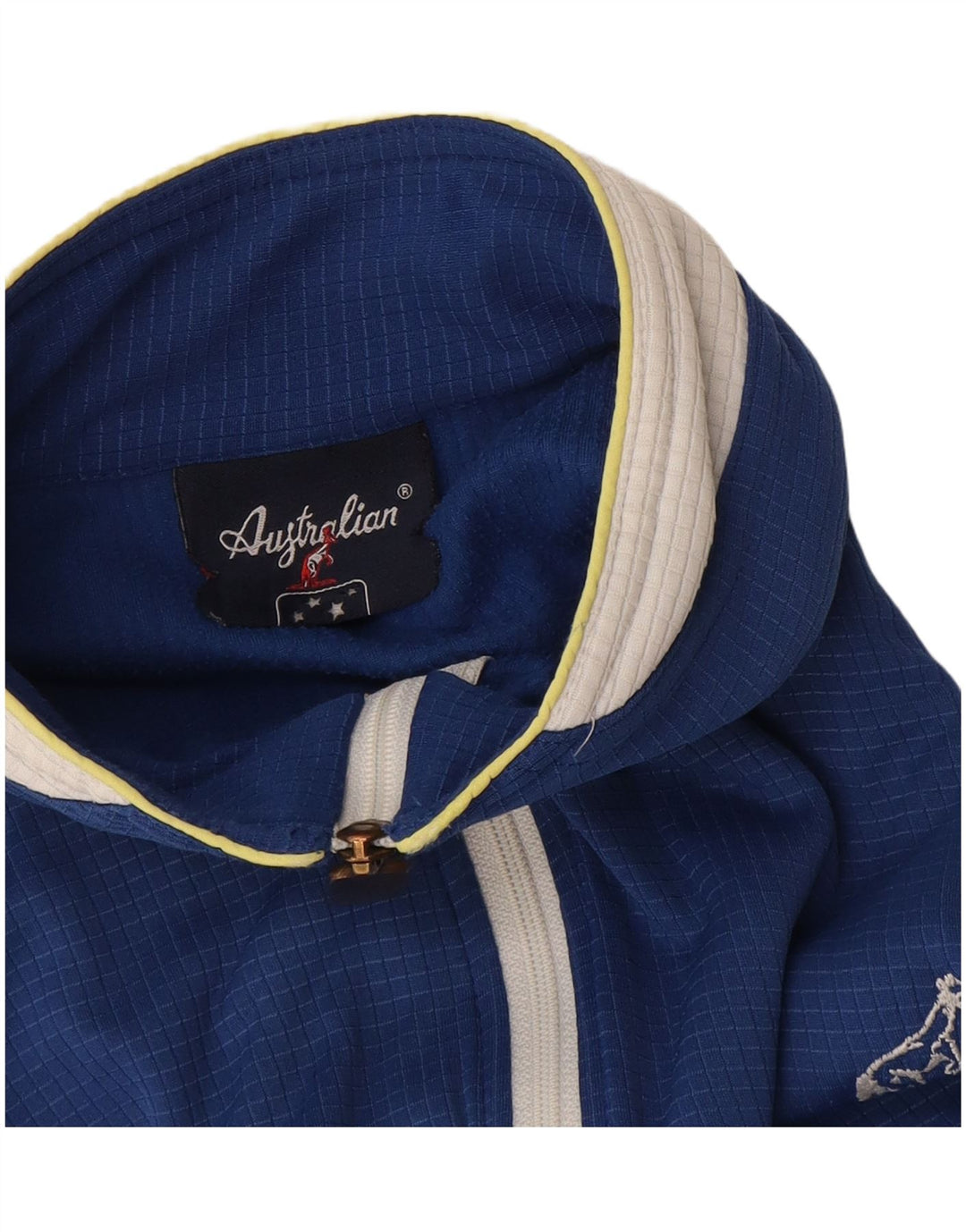 Мужская спортивная куртка AUSTRALIAN L'ALPINA IT 50 Medium Blue Colourblock