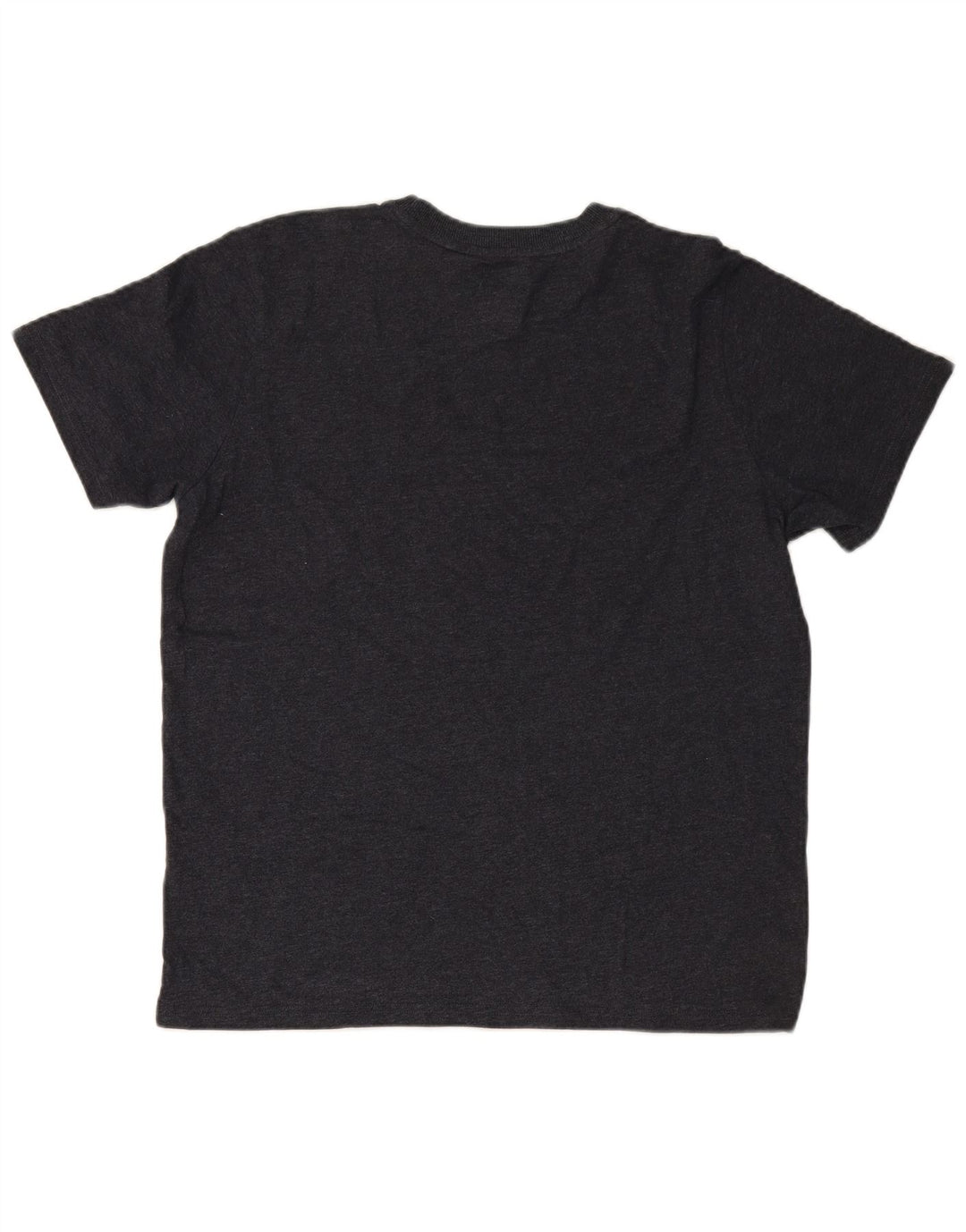 SUPERDRY Мужская футболка с рисунком Top XL Серая