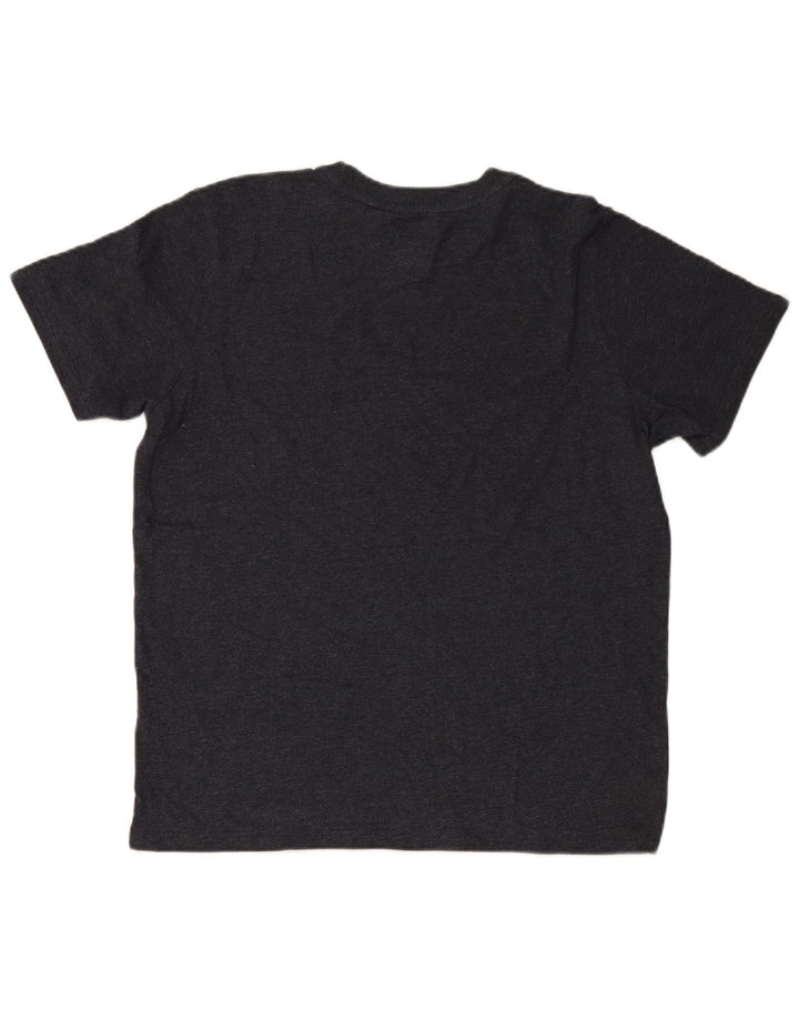 SUPERDRY Мужская футболка с рисунком Top XL Серая