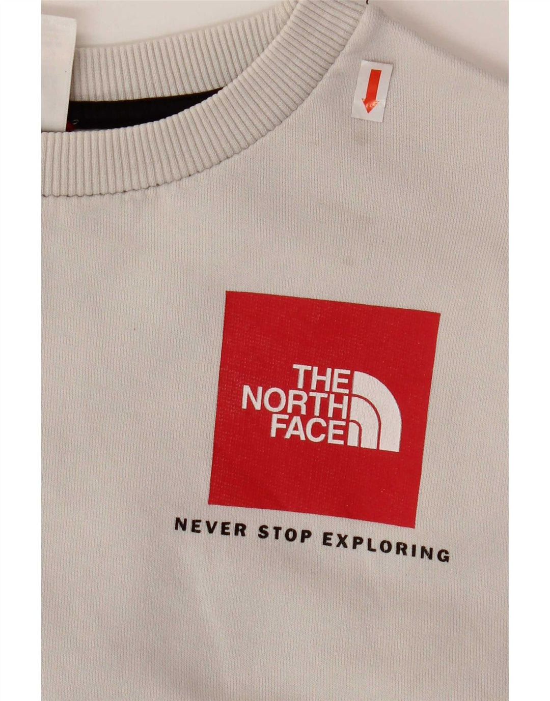 Мужской свитшот The North Face, маленький серый хлопковый джемпер