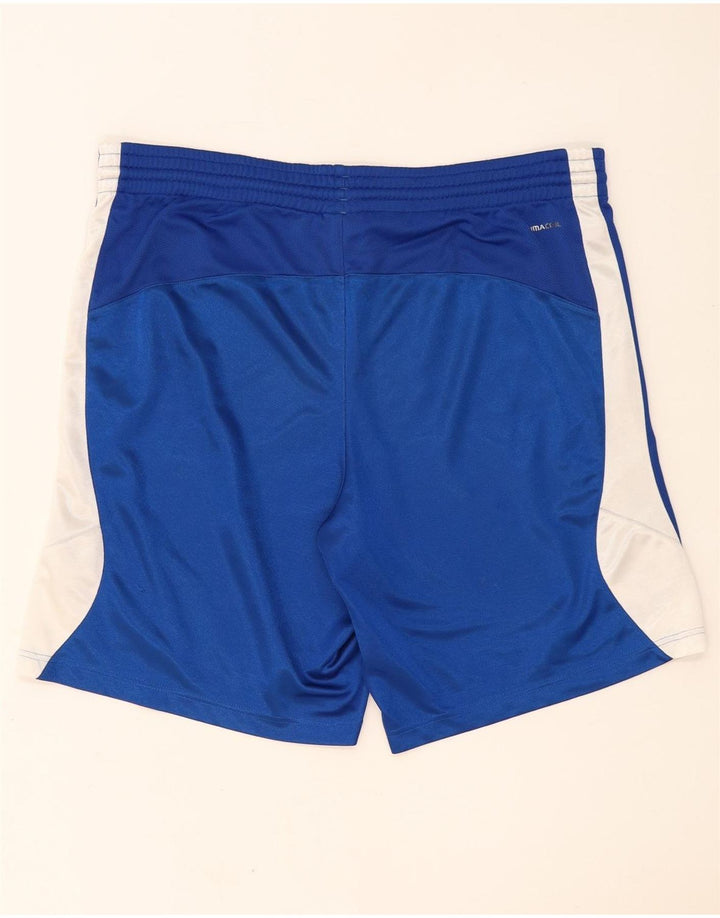 Мужские спортивные шорты Adidas Climalite, большие синие полиэстер с цветными блоками