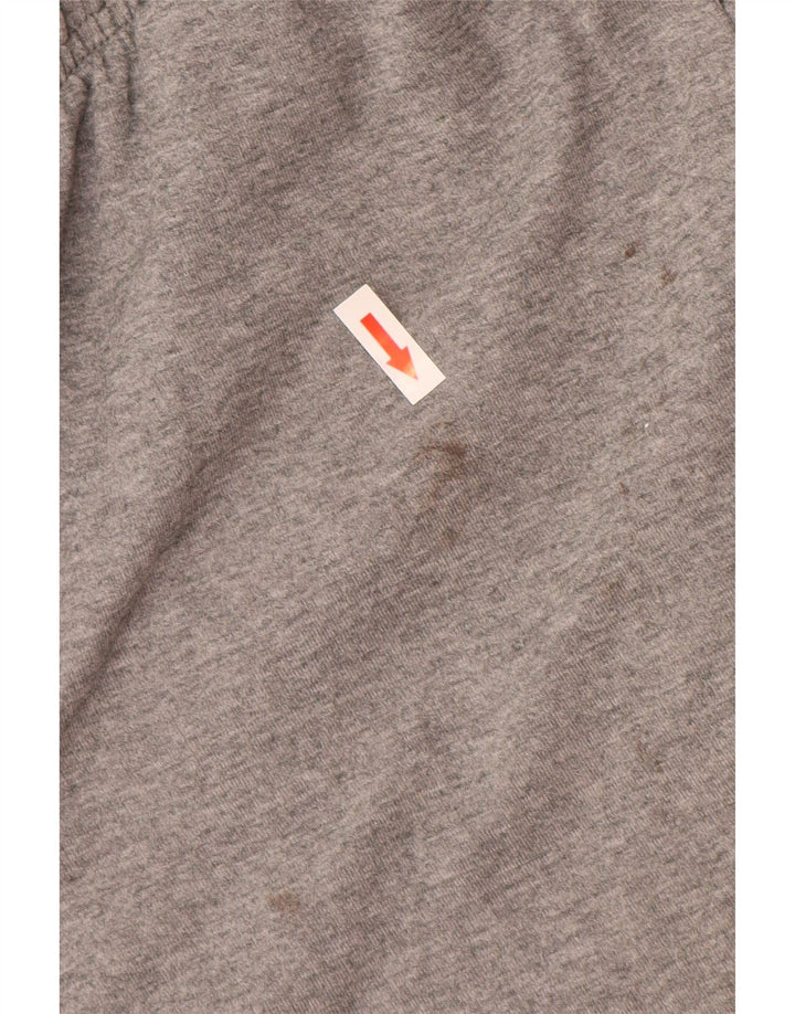 Мужские спортивные шорты с рисунком Puma среднего серого цвета