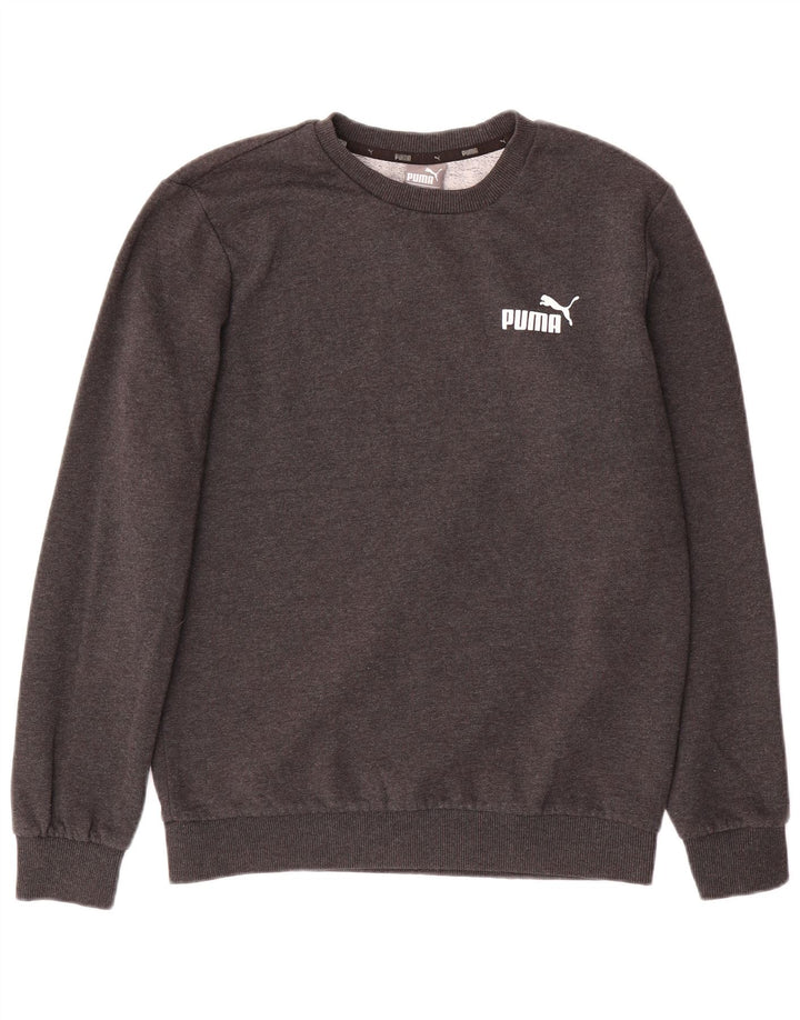 Мужской свитшот Puma, маленький серый хлопковый джемпер