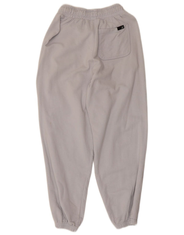 Мужские спортивные брюки Puma Joggers XS синие
