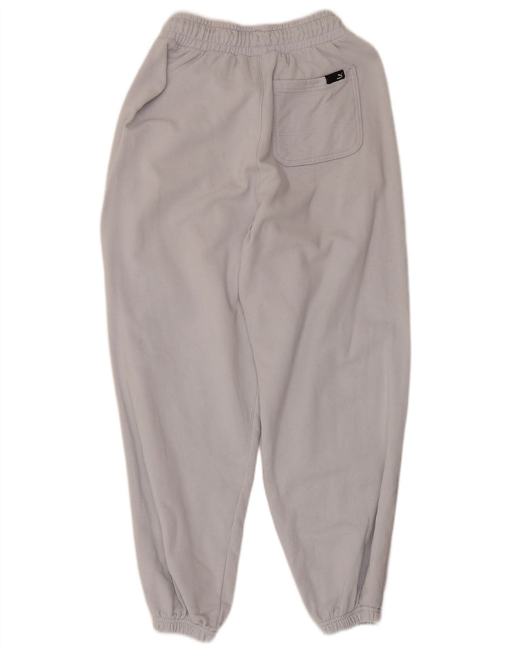 Мужские спортивные брюки Puma Joggers XS синие