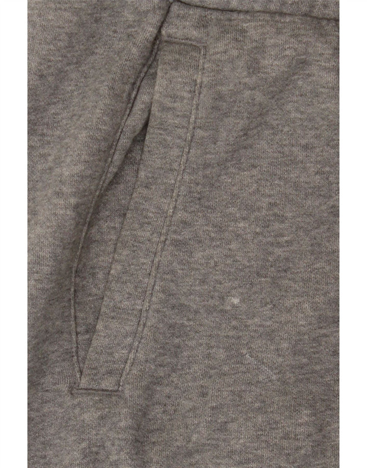 Мужские спортивные шорты Puma XL серые