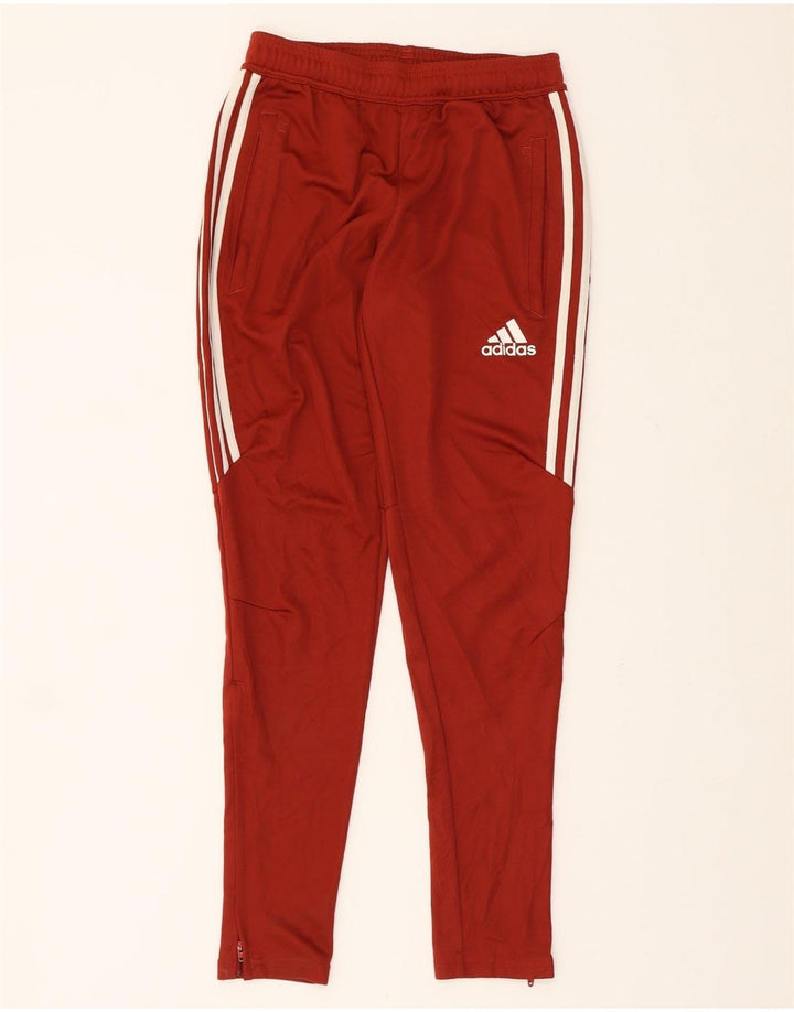 ADIDAS Mens Climacool Tracksuit Trousers Small  Maroon Polyester Vintage Adidas and Second-Hand Adidas from Messina Hembry 