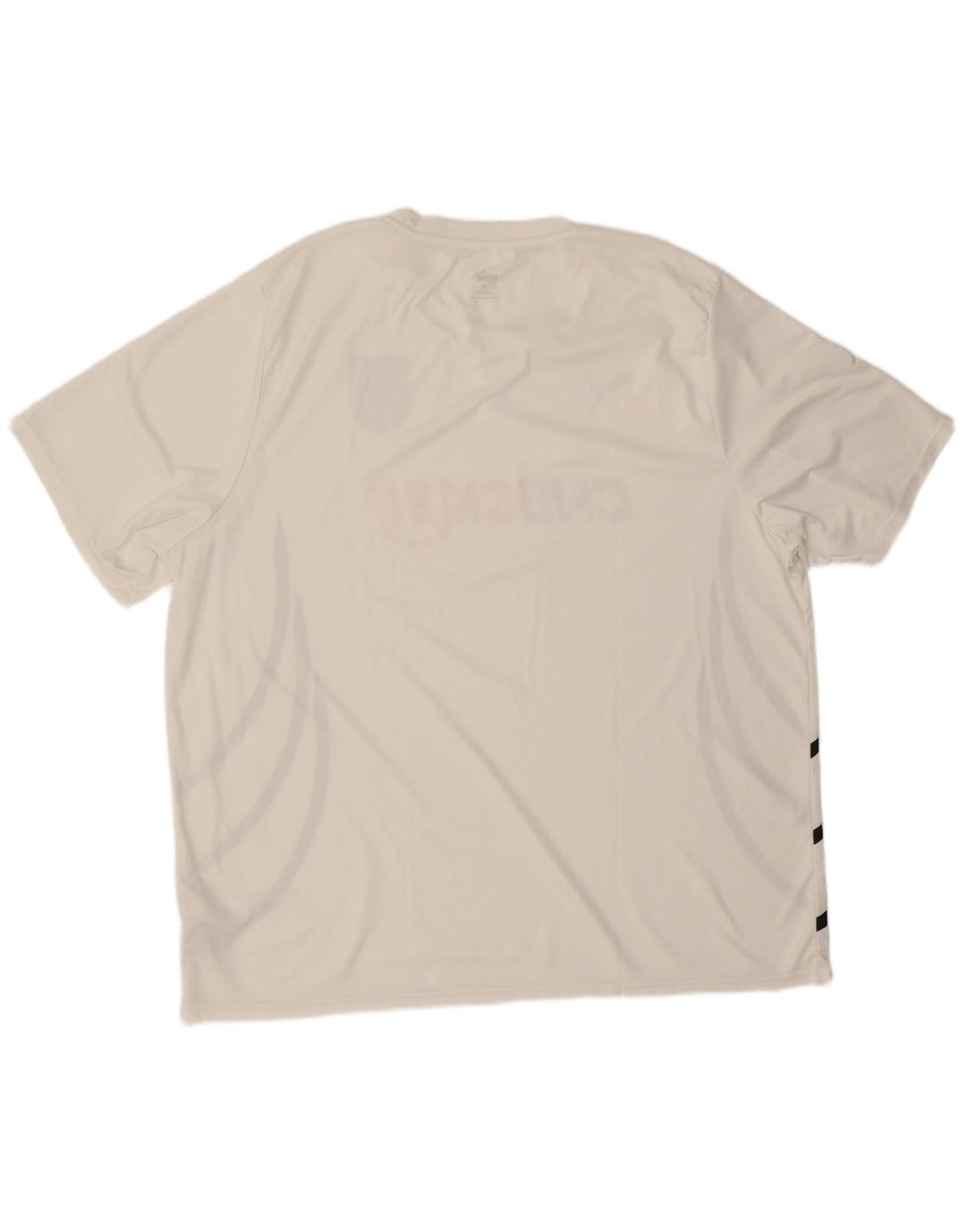 Мужская футболка с рисунком Puma Deutshland 3XL, белый полиэстер