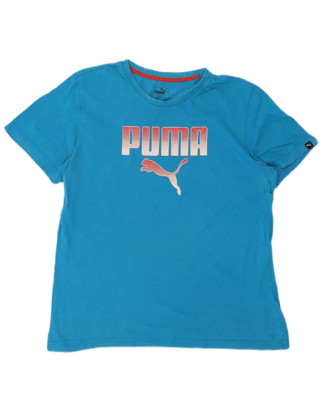 Мужская футболка с рисунком Puma, большая синяя
