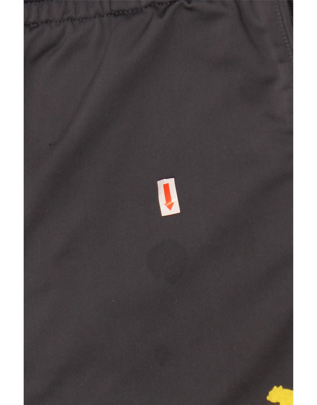 Мужские спортивные брюки PUMA BVB Dortmund XL серые с цветными блоками