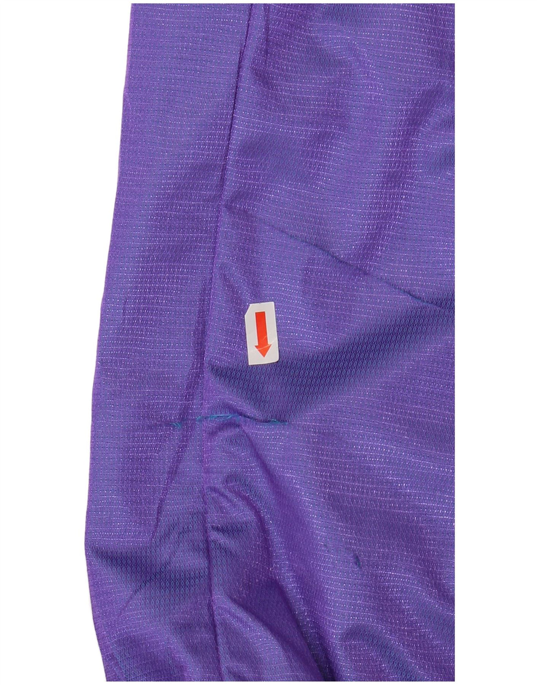 Мужские лыжные брюки Ellesse IT 52, большие фиолетовые цвета, полиэстер с цветными блоками