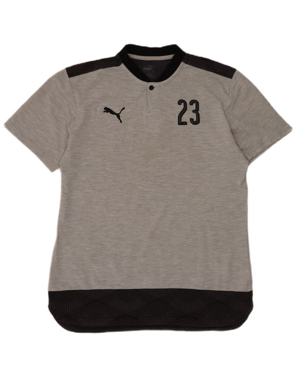 Мужская футболка с рисунком Puma SSG Halvestorf/Herkendorf, большая, серая, спортивная