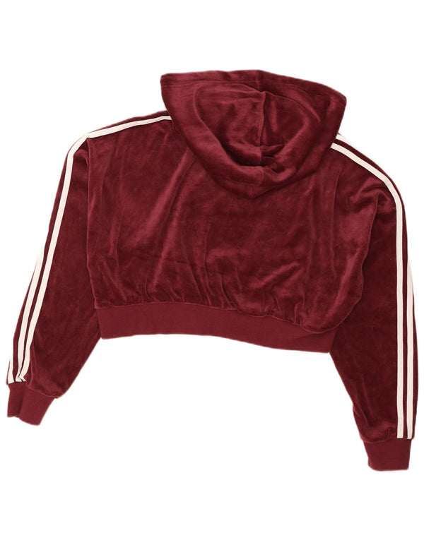 Женский укороченный велюровый джемпер с капюшоном Adidas Oversized UK 8, маленький бордовый