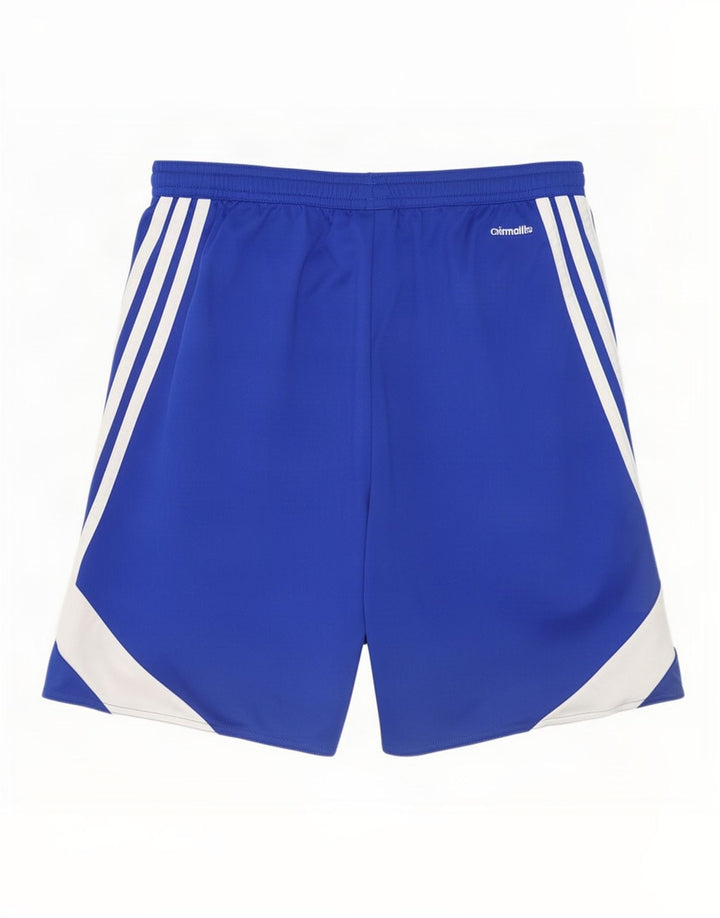 Мужские спортивные шорты Adidas Climalite, средний синий, полиэстер с цветными блоками