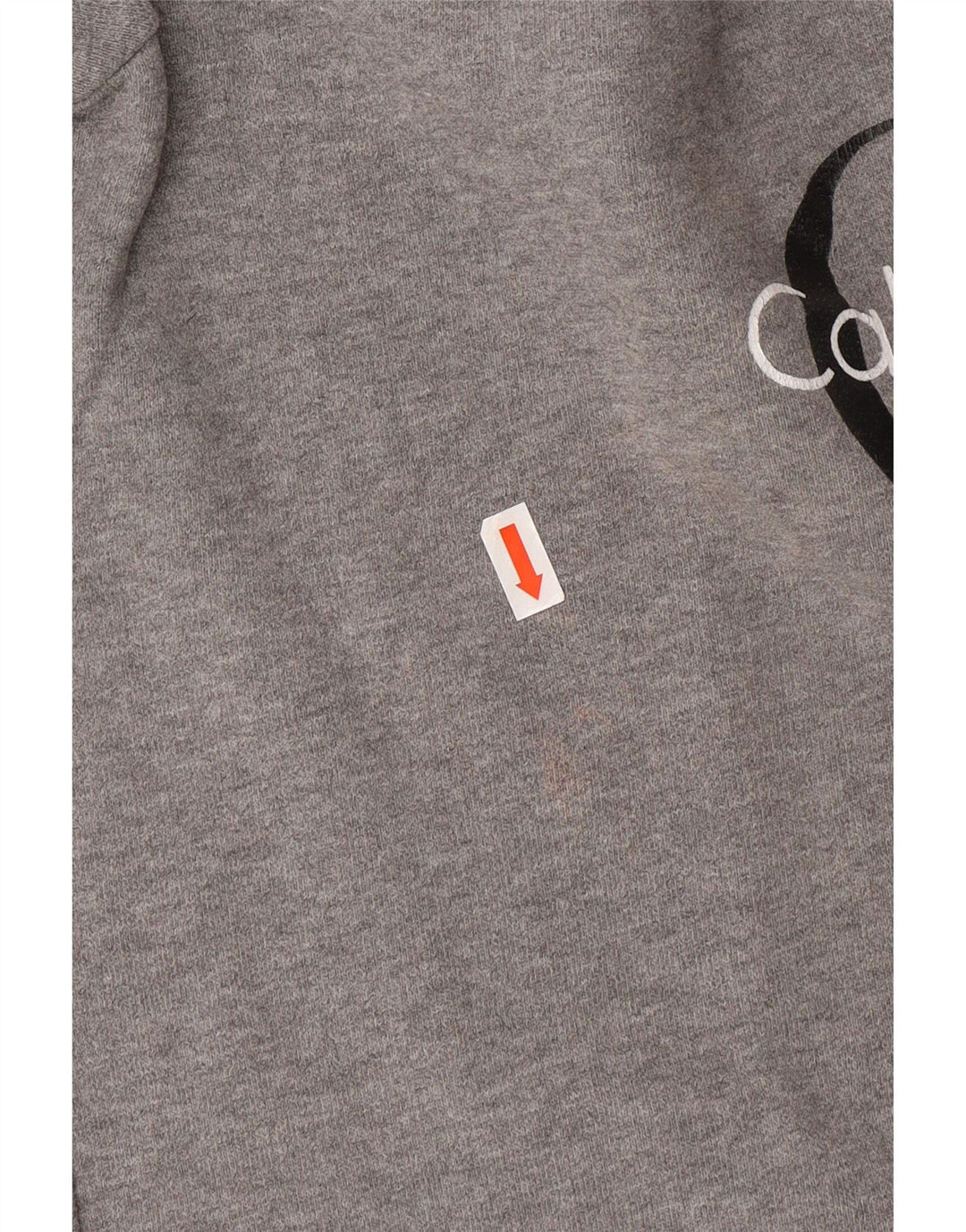 CALVIN KLEIN JEANS Mens Graphic Sweatshirt Jumper Small Grey