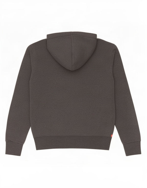 Мужской джемпер с капюшоном Superdry, большой серый, хлопковый