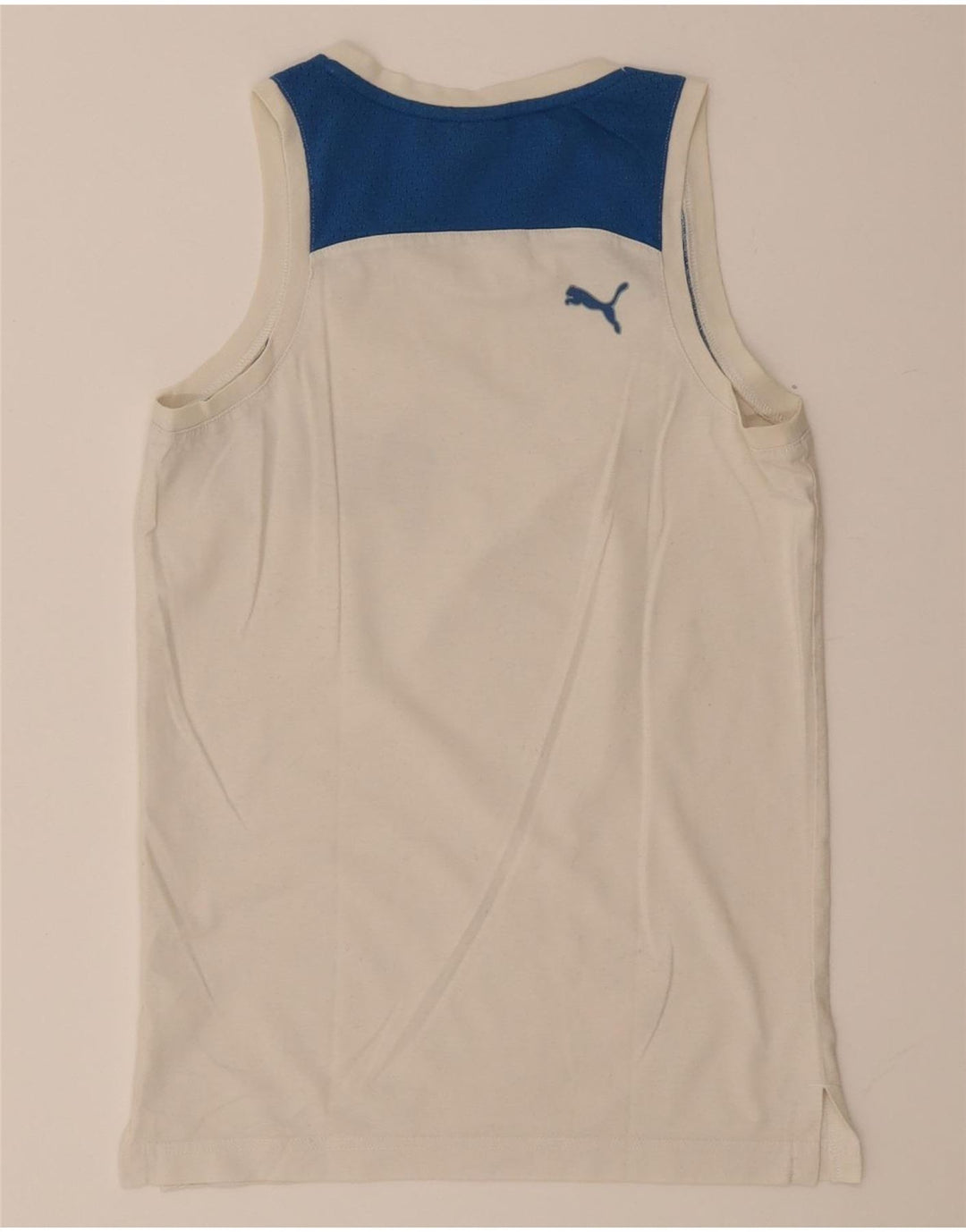 Мужской жилет с графическим рисунком Puma XS, белый, цветной блок