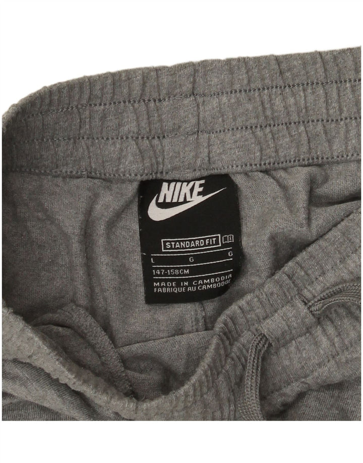 Спортивные шорты стандартного кроя Nike для мальчиков, 12–13 лет, большой размер, серый полиэстер