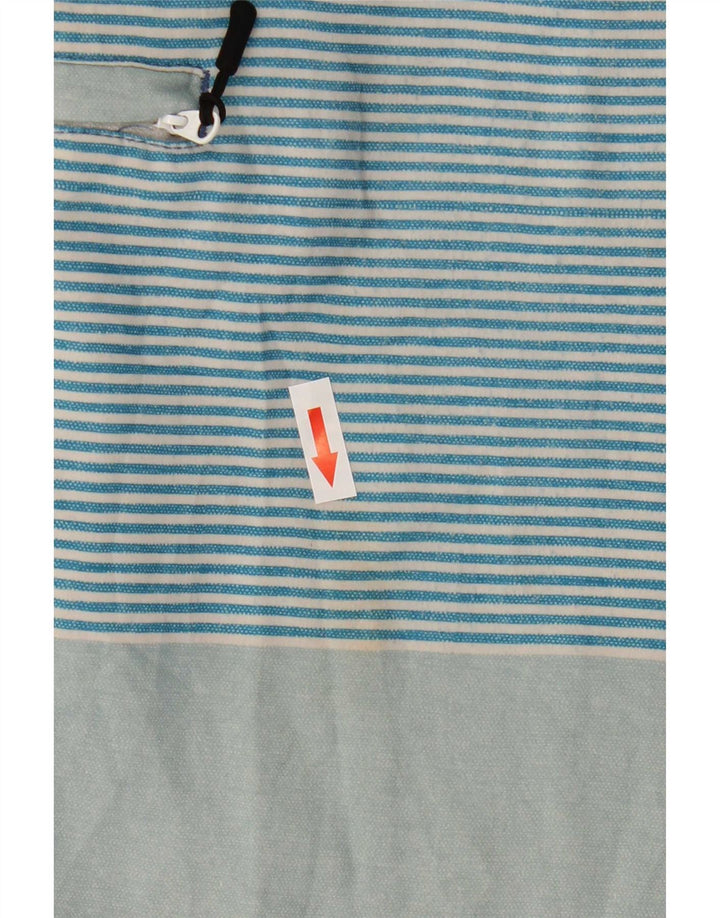 Мужские шорты для плавания Rip Curl, большие синие полоски