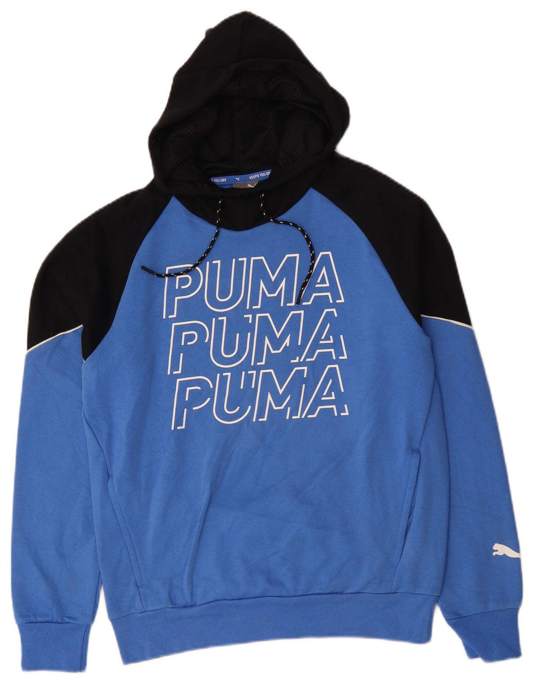 Мужская толстовка с капюшоном PUMA, маленькая, синяя, с цветными блоками