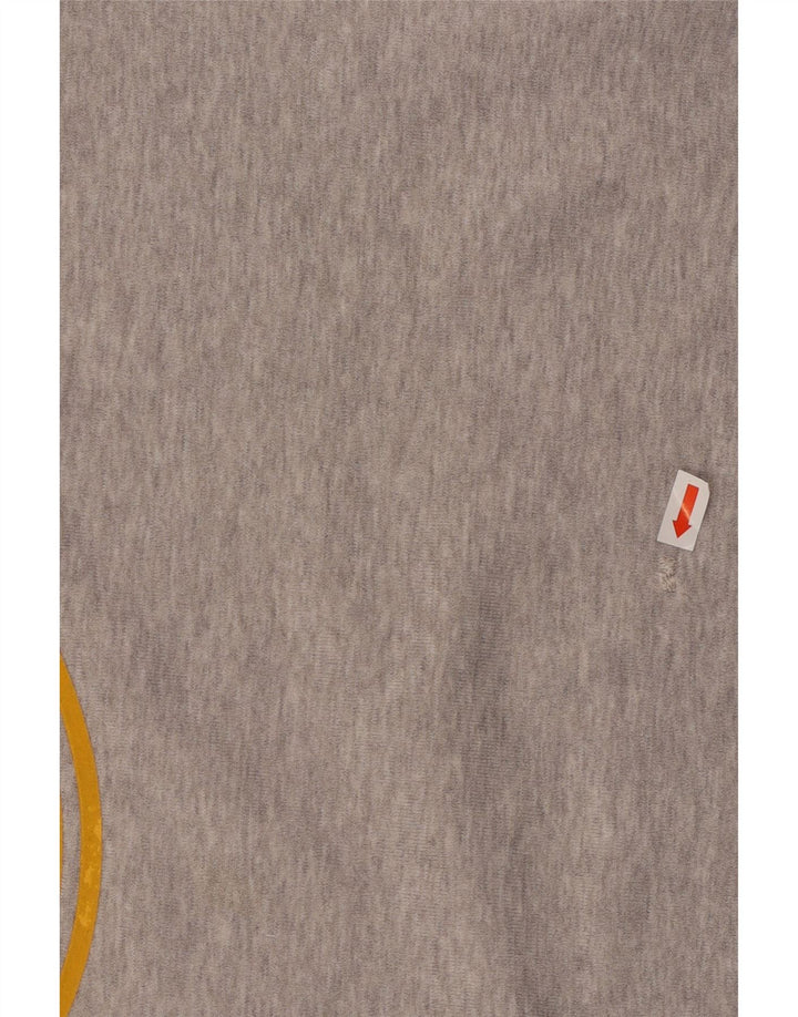 Мужской свитшот ADIDAS с рисунком, хлопковый джемпер среднего серого цвета