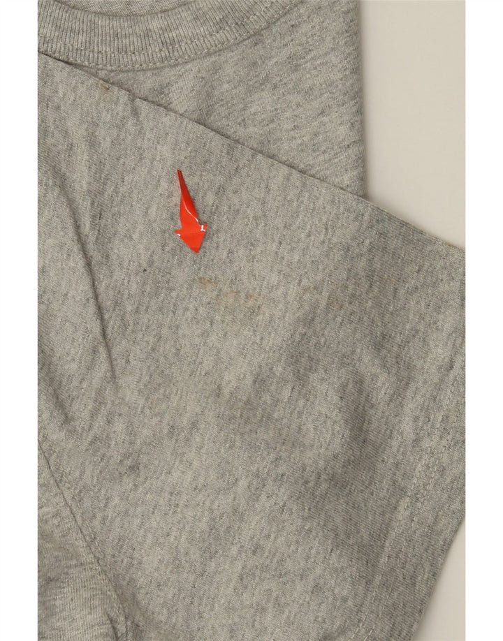 Мужская футболка CHAMPION Heritage, большой серый хлопок с крапинками