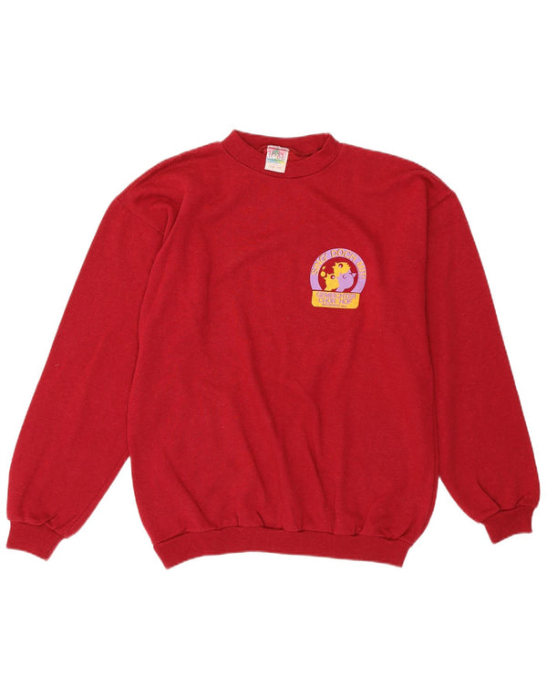 Женский свитер с рисунком VINTAGE, джемпер UK 14, средний бордовый хлопок, хлопок