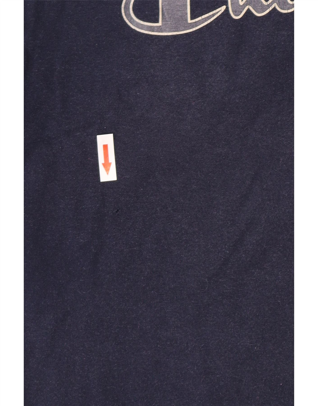 Мужская футболка с рисунком Champion, топ среднего размера, темно-синий, хлопок