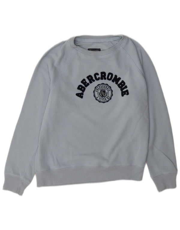 Женский свитер с рисунком Abercrombie & Fitch UK 14, большой синий