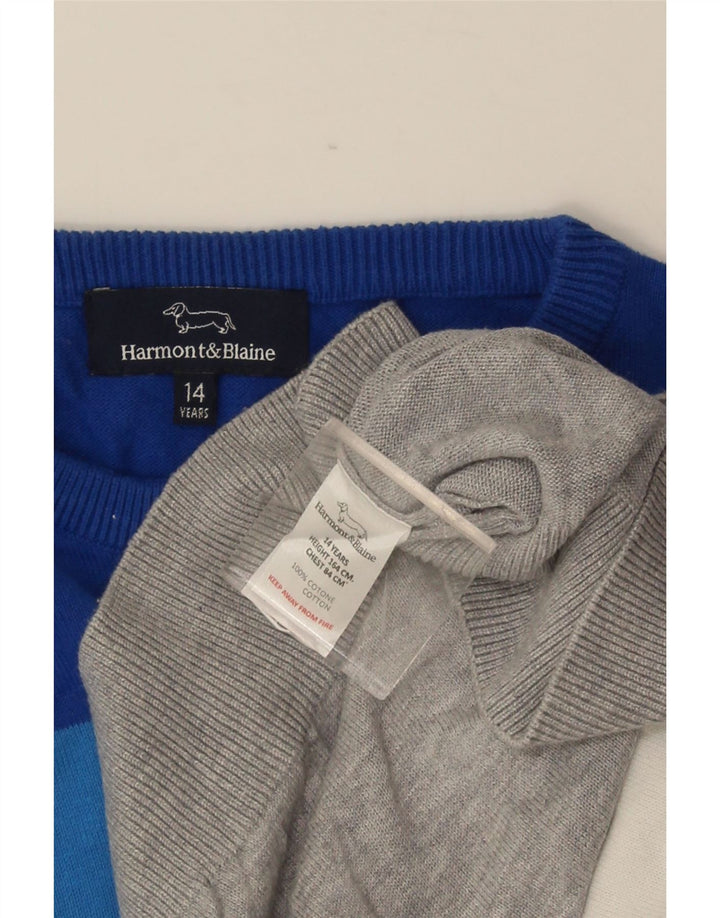 HARMONT & BLAINE Джемпер с круглым вырезом для мальчиков 13-14 лет, разноцветный