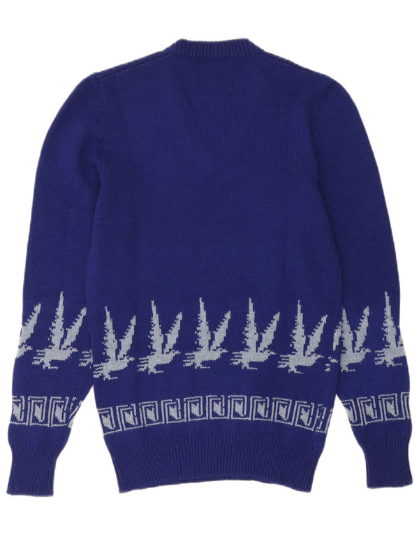 Винтажный мужской джемпер с v-образным вырезом, маленький синий свитер Fair Isle