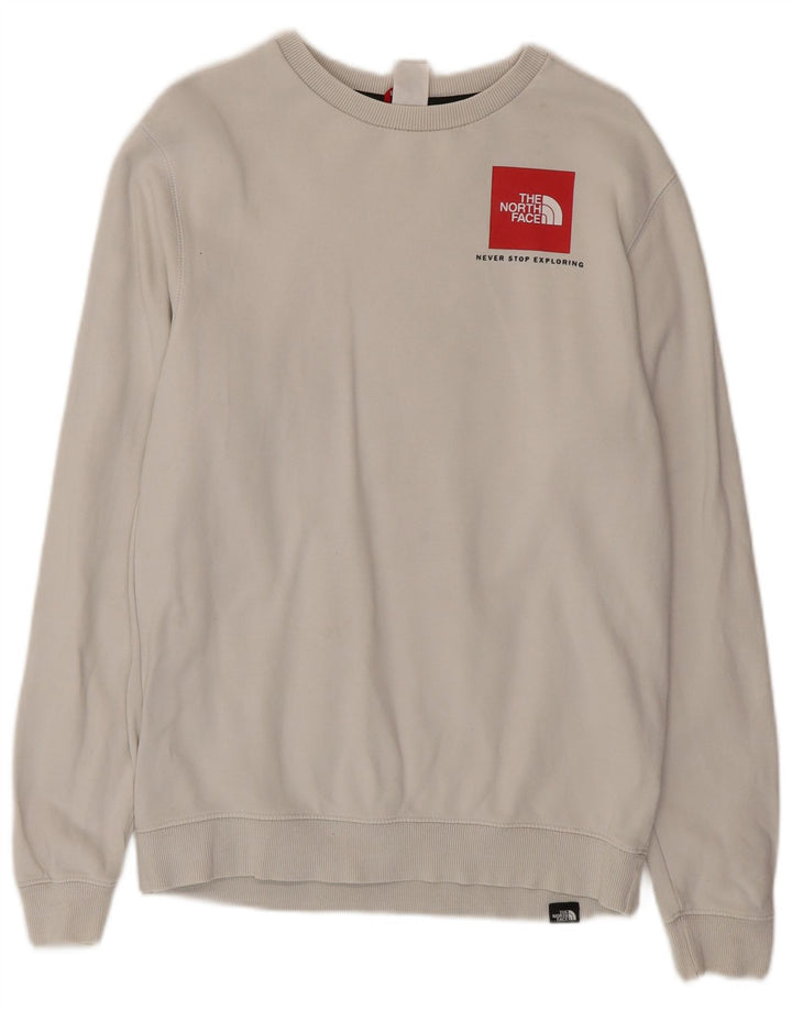 Мужской свитшот The North Face, маленький серый хлопковый джемпер