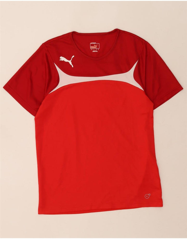 Мужская футболка Puma, маленький красный полиэстер с цветными блоками