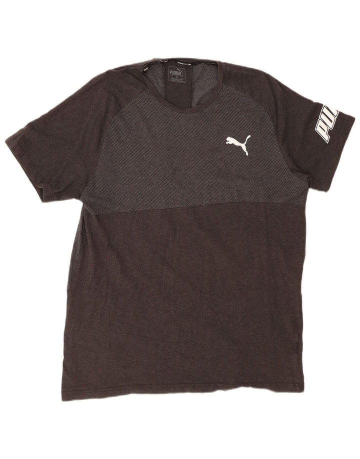 Мужская футболка с рисунком PUMA Top 2XL Серая с цветными блоками