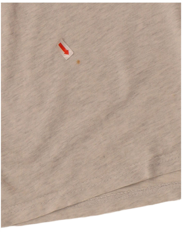 Мужская футболка с рисунком Superdry XL, серая, хлопок