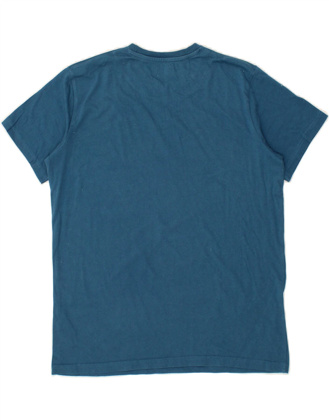PENGUIN Boys T-Shirt Top 14-15 Years Blue Cotton Vintage Penguin and Second-Hand Penguin from Messina Hembry 