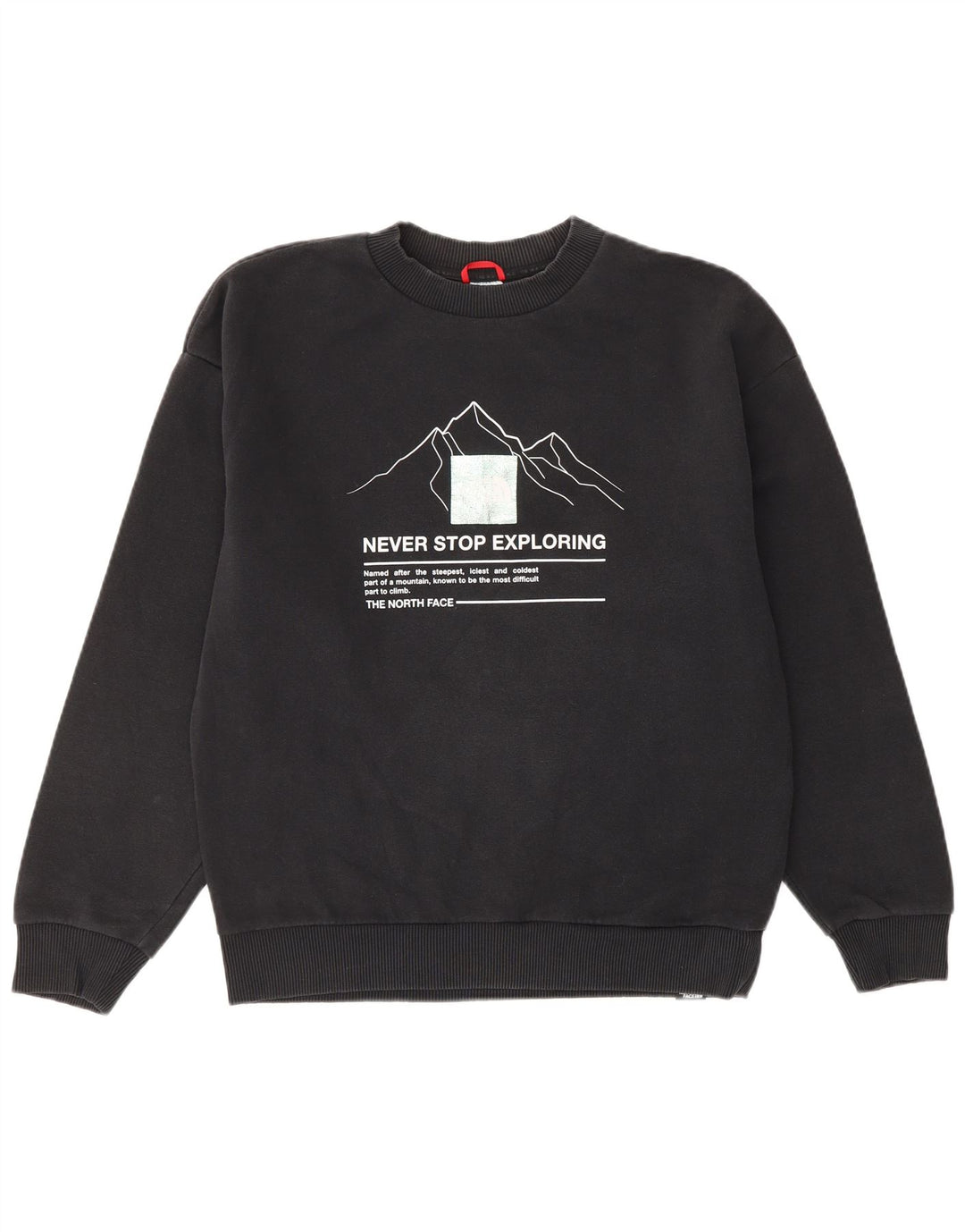 Женский свитшот с графическим рисунком THE NORTH FACE UK 14, средний черный хлопковый джемпер