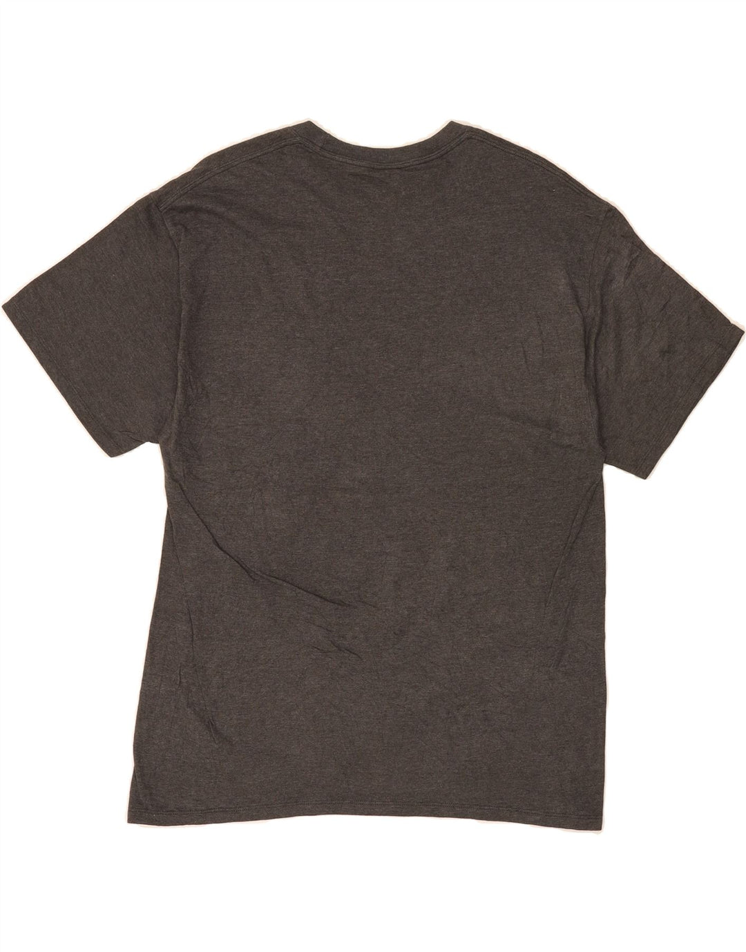 CHAMPION Mens Graphic T-Shirt Top Large Grey Cotton Vintage Champion and Second-Hand Champion from Messina Hembry 