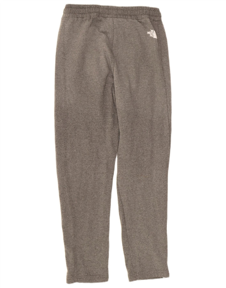 Мужские спортивные брюки The North Face XS серые