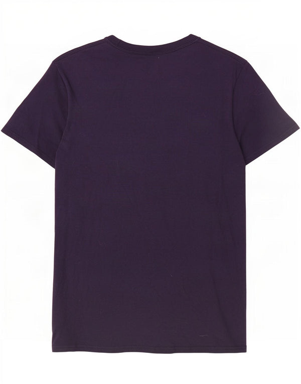 Champion Mens Graphic T-Shirt Top Small Navy Blue